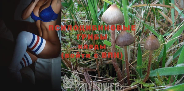 PSILOCYBIN Краснотурьинск