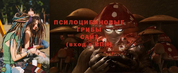 PSILOCYBIN Краснотурьинск