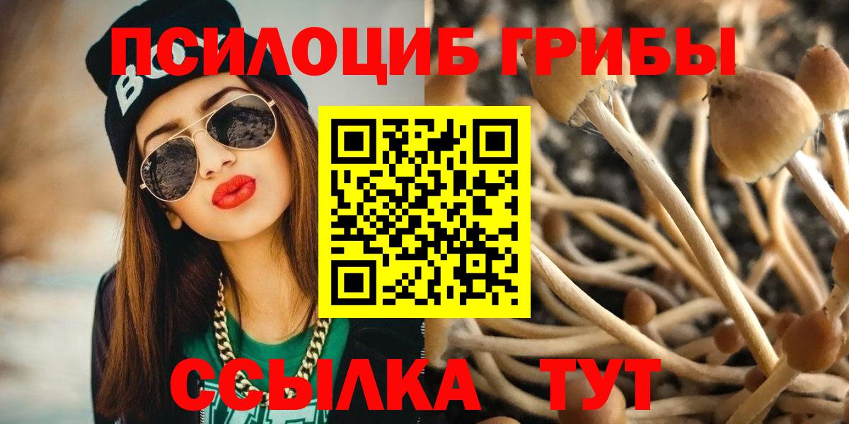 Псилоцибиновые грибы мухоморы  Ростов-на-Дону 