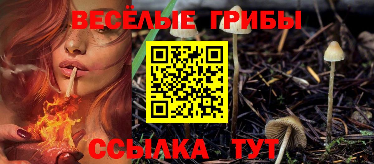 Псилоцибиновые грибы Psilocybine cubensis  Псилоцибиновые грибы GOLDEN TEACHER  Ростов-на-Дону  Вход с VPN 